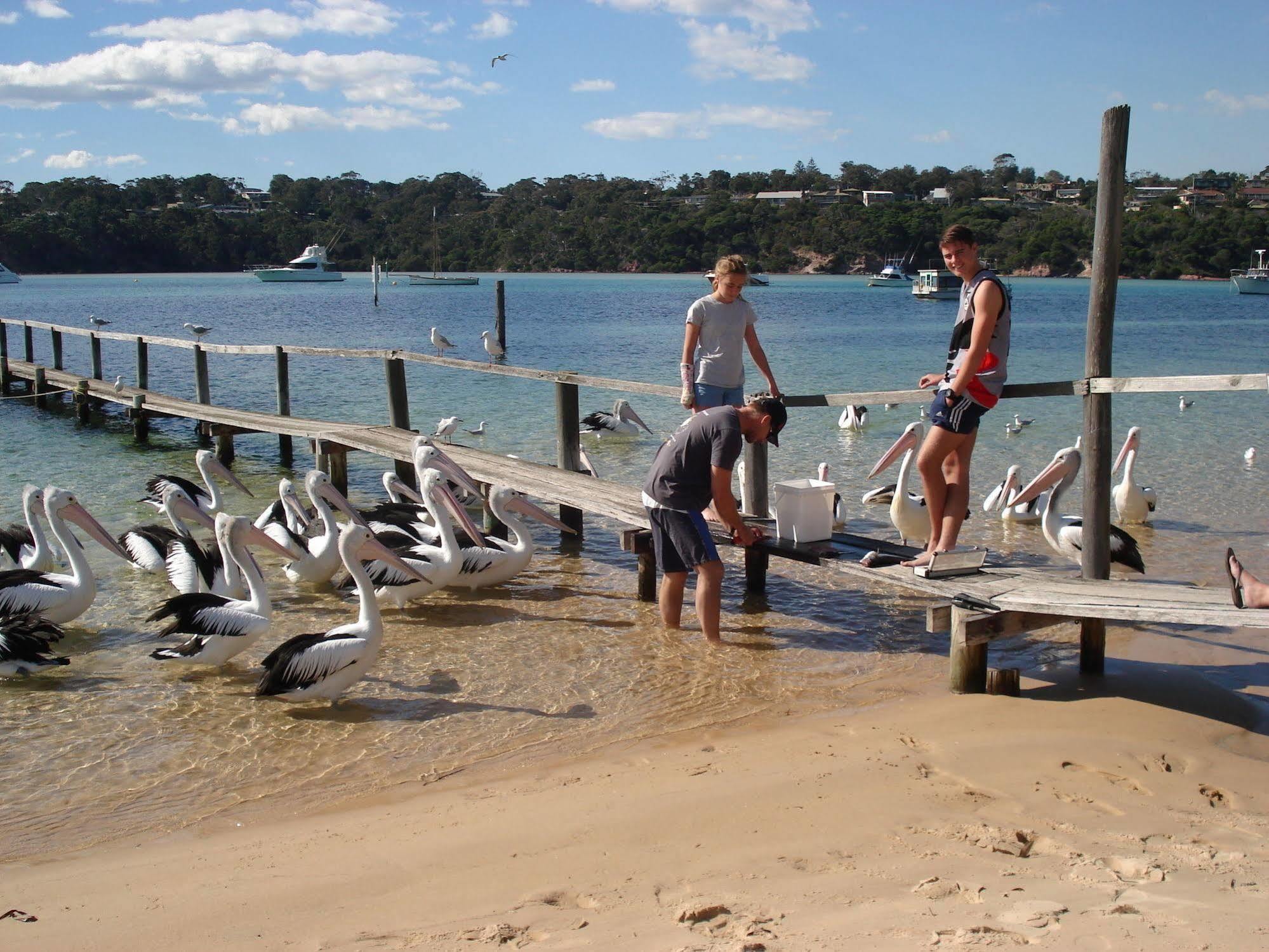 Aparthotel Bayview Merimbula